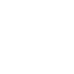 Our Vision