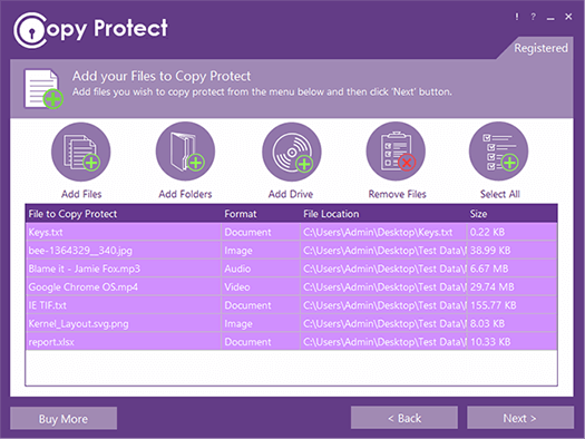 Copy Protect - Copy Protection Software - Copyright your Work